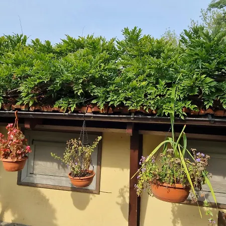 アパート La Casa Dei 2 Laghi アヴィリアーナ
